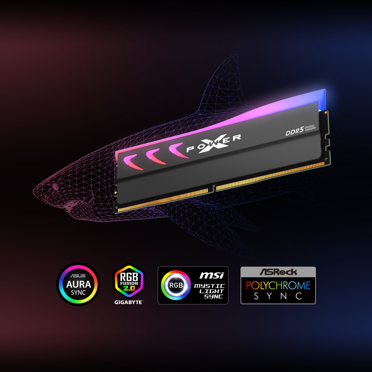 XPOWER Storm DDR5 RGB Gaming UDIMM-Silicon Power
